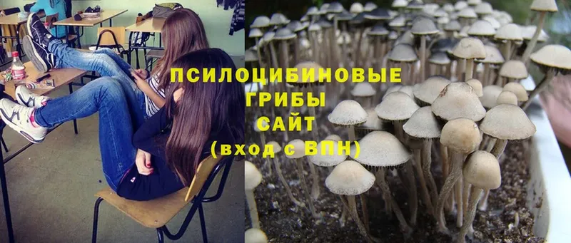 Псилоцибиновые грибы MAGIC MUSHROOMS  Ковылкино 